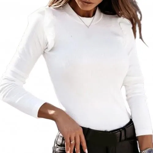 2022 Autumn Winter Elegant Casual Turtleneck Sweaters Shirt for Women