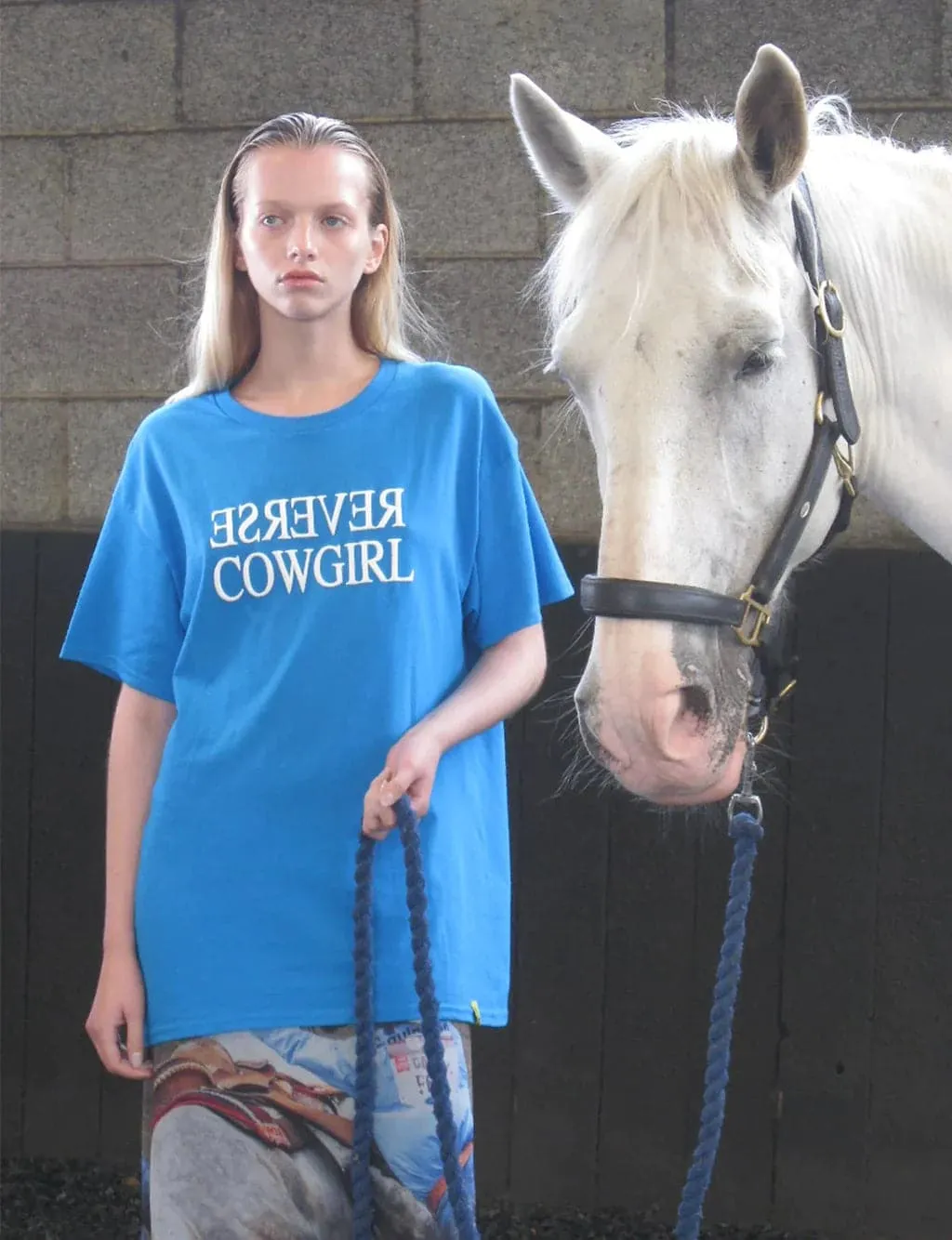 Basic Pleasure Mode Reverse Cowgirl Tee