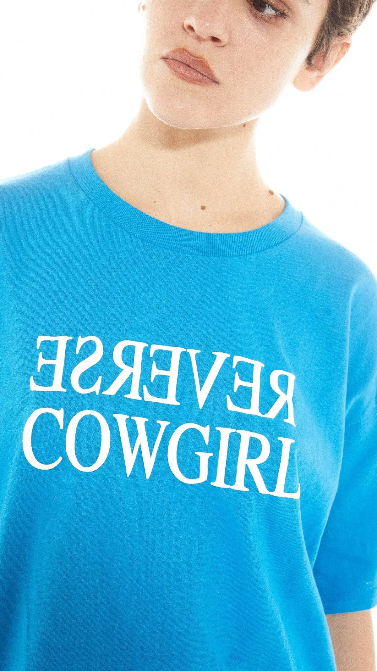 Basic Pleasure Mode Reverse Cowgirl Tee