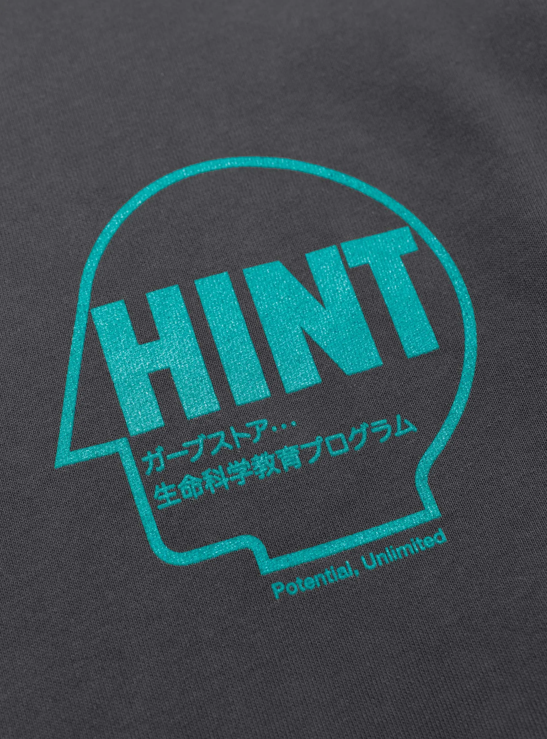 Hint Sweatshirt Charcoal