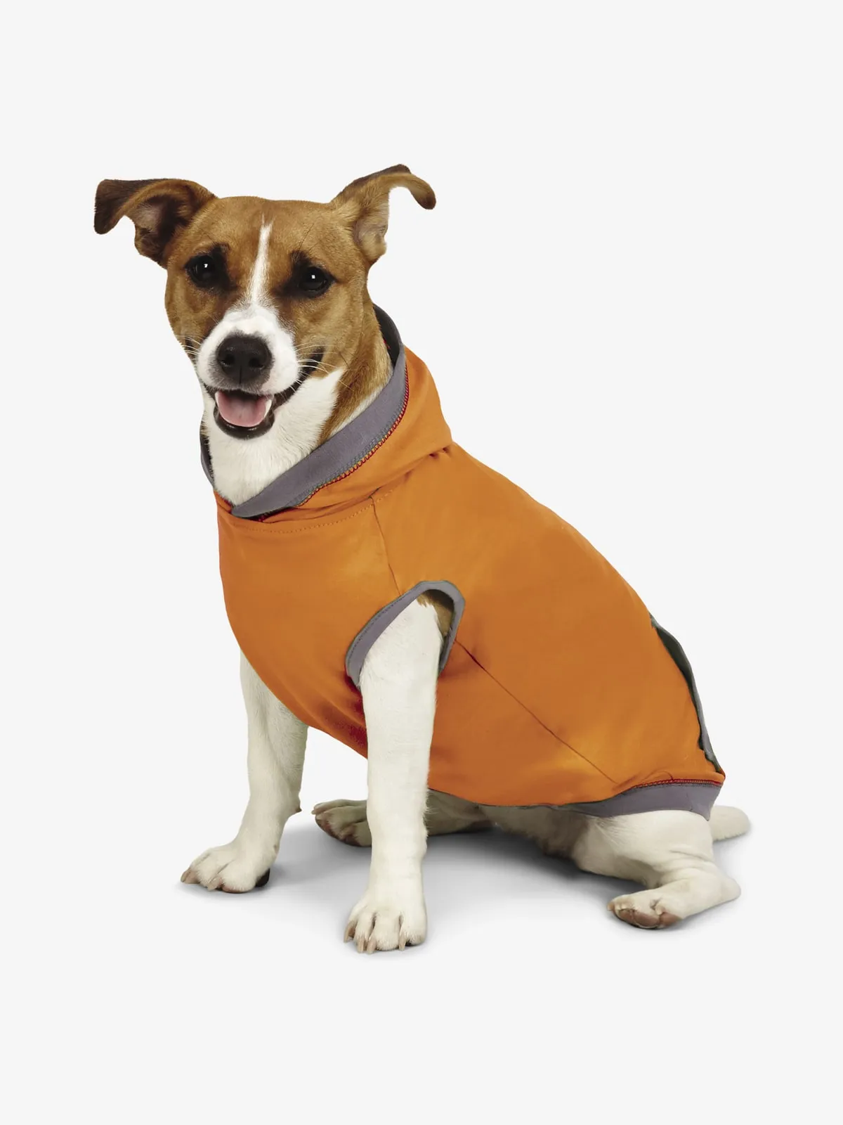 Insect Shield Lightweight Dog Hoodie