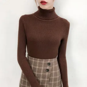 One-Size Ribbed Turtleneck (Brown)