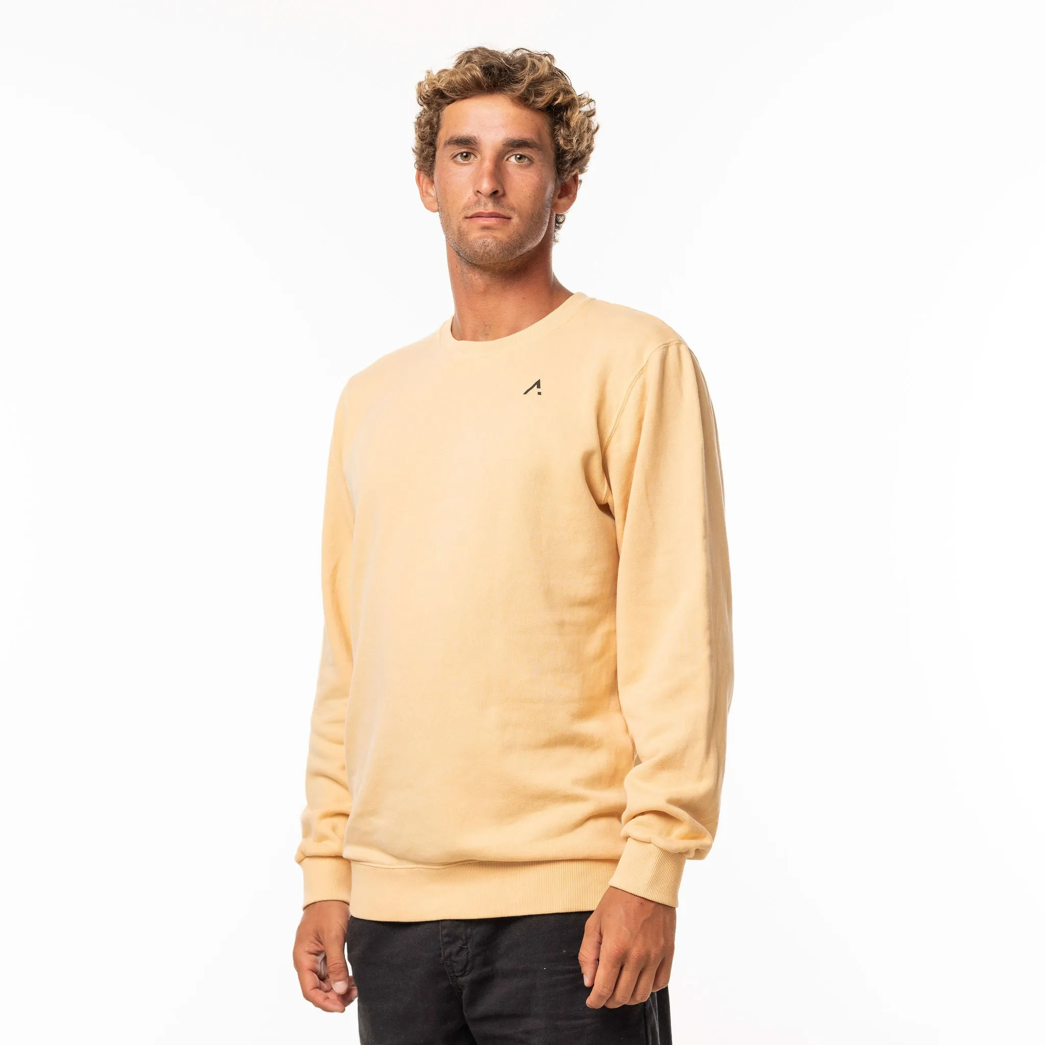 Surfboard Sweatshirt